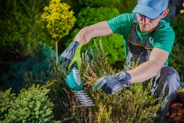 landscaping services Wade
